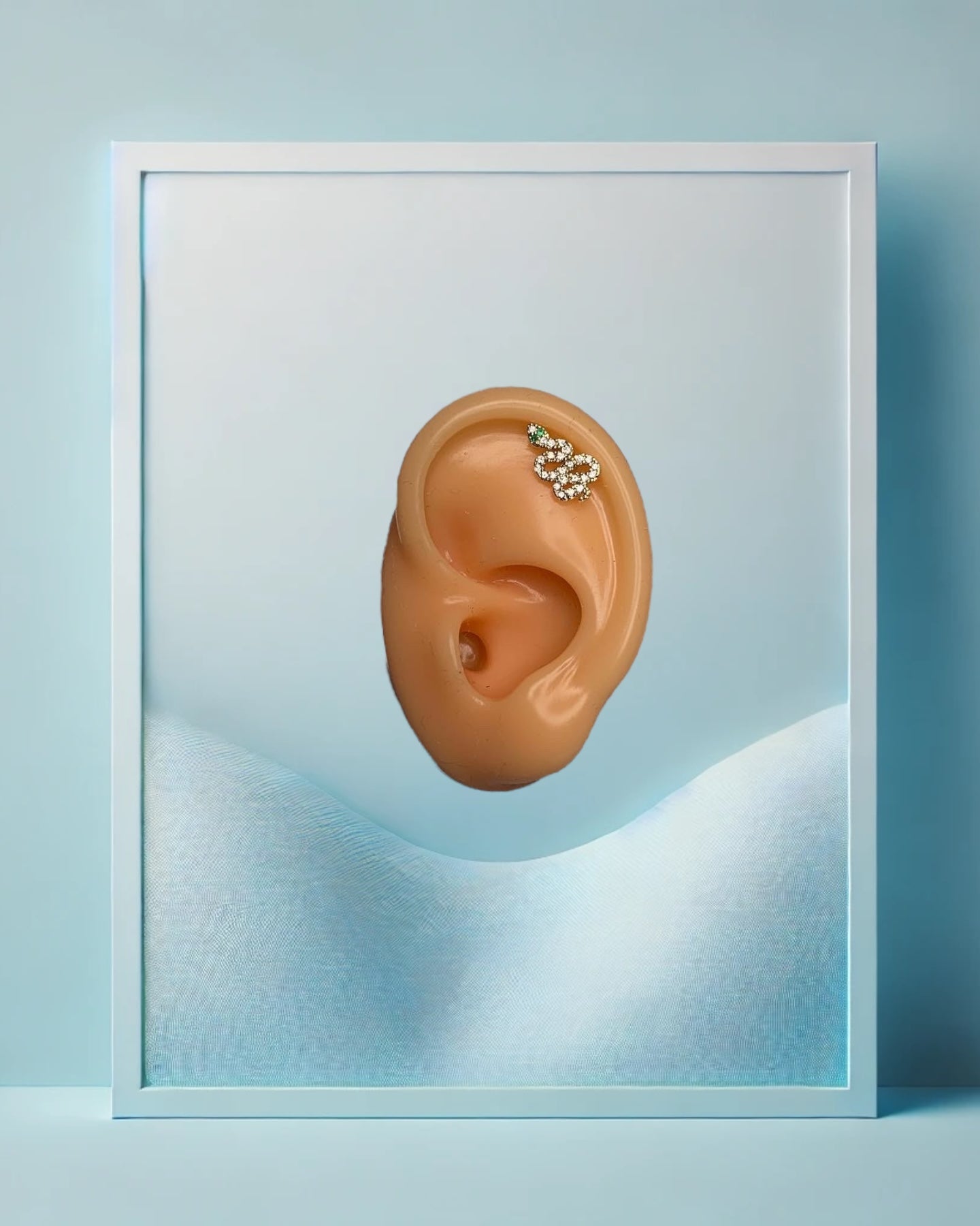 Golden Snake Helix/Conch - IcyBelly