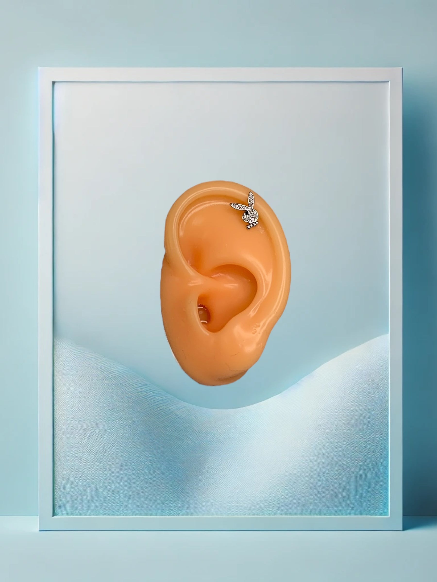 Icy Bunny Helix/Conch - IcyBelly