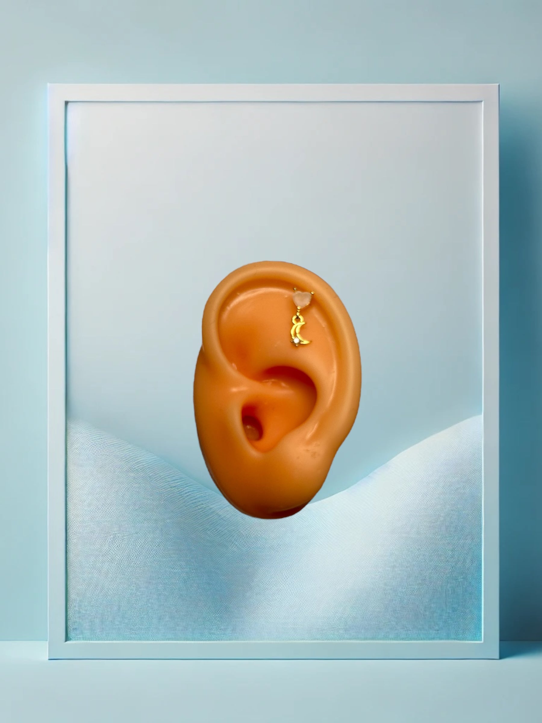 Honeymoon Helix/Conch - IcyBelly