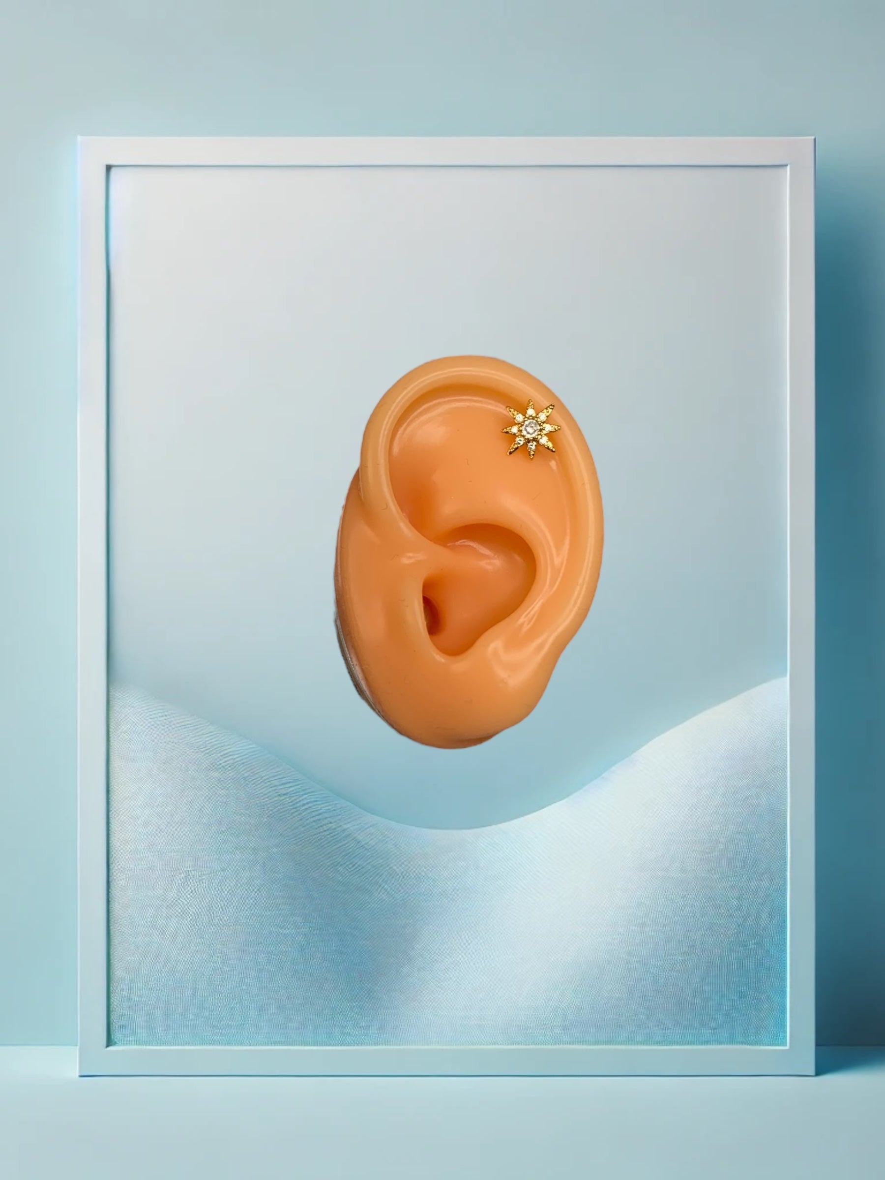 Golden Star Helix/Conch - IcyBelly