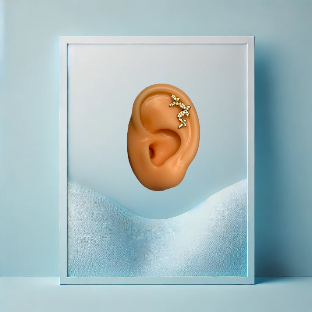 Triple Fly Helix/Conch - IcyBelly