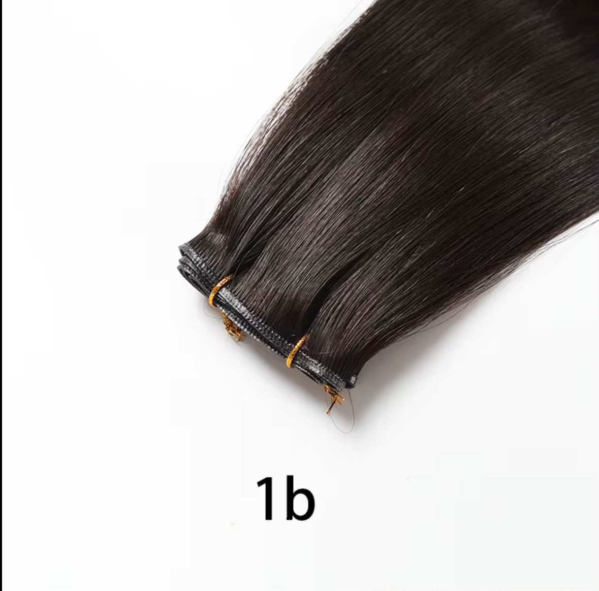 1b